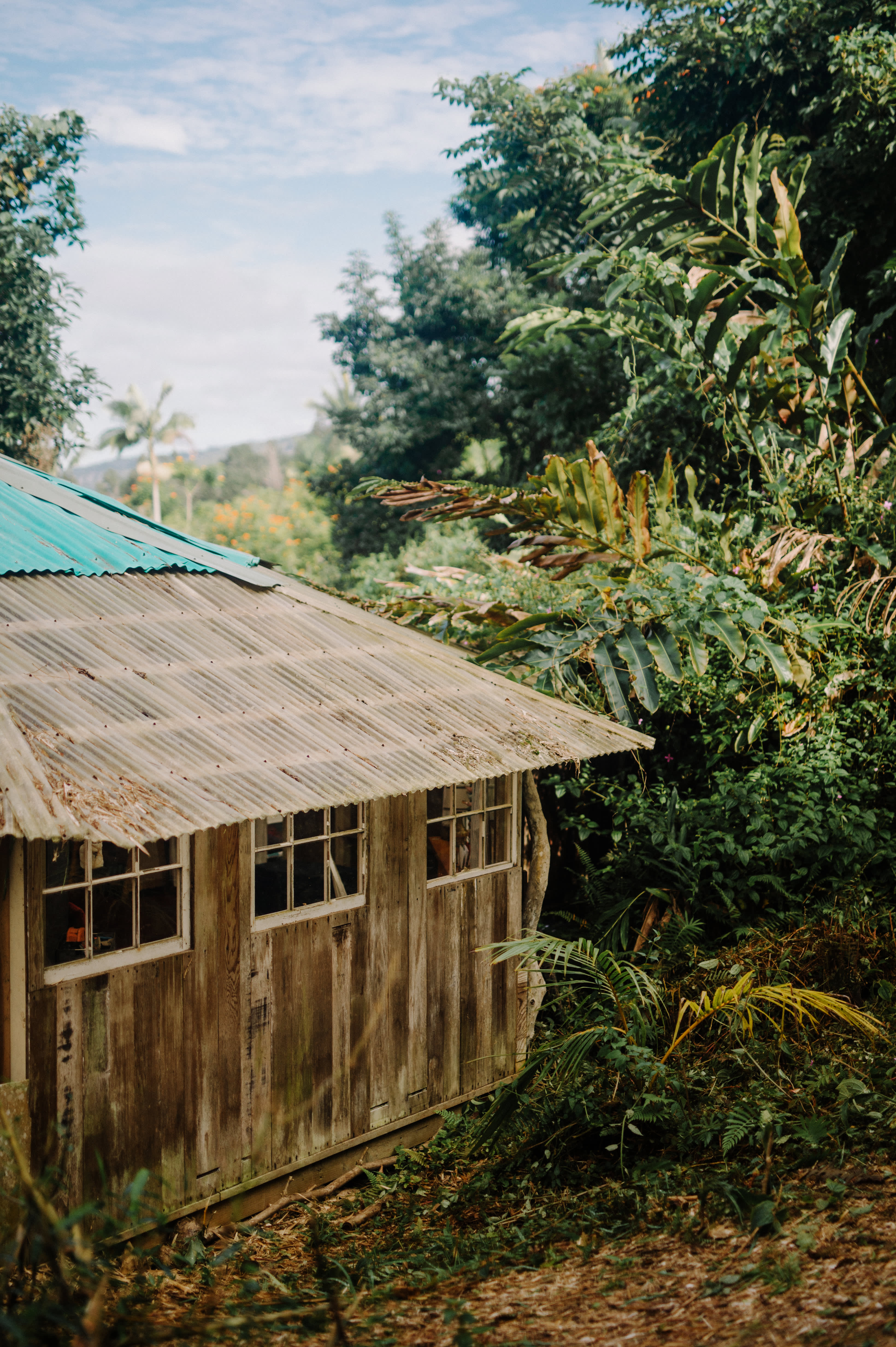 Rustic Hawaiian Homestead House Tour Photos Apartment Therapy   7eec206f535b7d39136cb79746441583c23b6f82